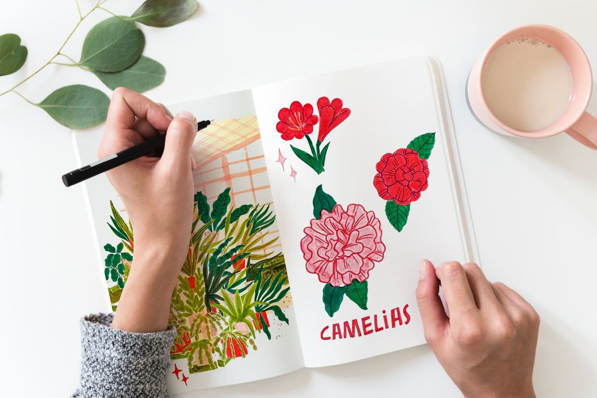  Obradoiro de Ilustración Botánica