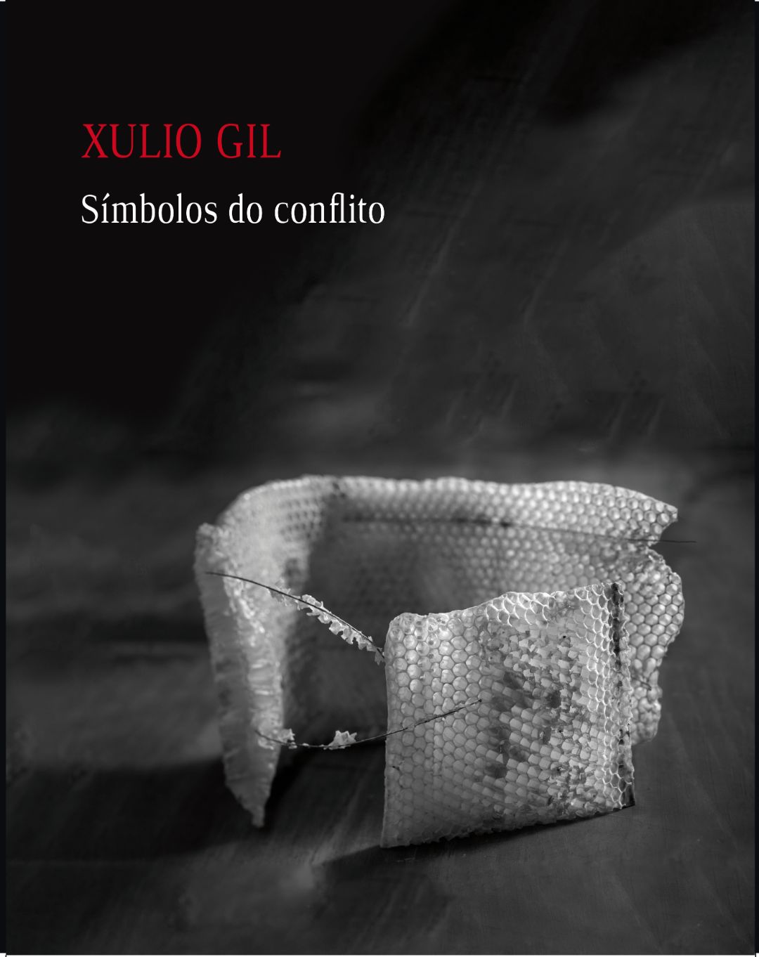 Símbolos do conflito. Fotografías de Xulio Gil (2000-2022)